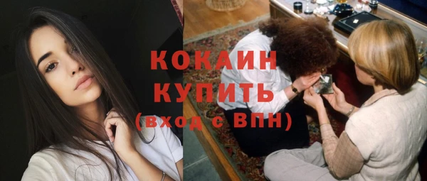 тгк Дмитровск