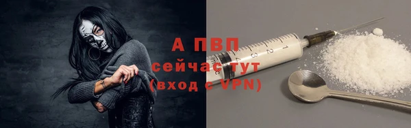 ПСИЛОЦИБИНОВЫЕ ГРИБЫ Елизово