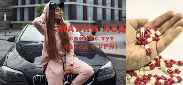 ПСИЛОЦИБИНОВЫЕ ГРИБЫ Елизово