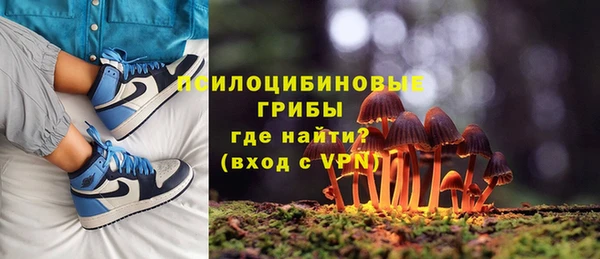 винт Елабуга