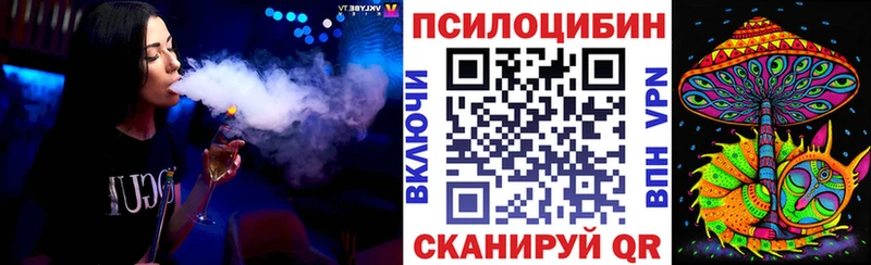 Псилоцибиновые грибы Psilocybine cubensis Купить Звенигово