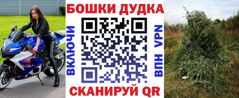 Конопля индика Купить закладки Звенигово